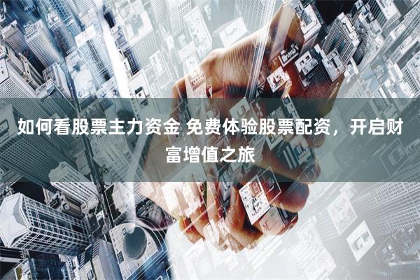 如何看股票主力资金 免费体验股票配资，开启财富增值之旅